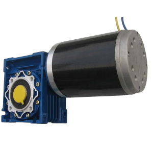 DC 12V 21RPM 700KG.cm High Torque Worm Gear Motor High Power Reversible DC Worm Gear Motor GW114165